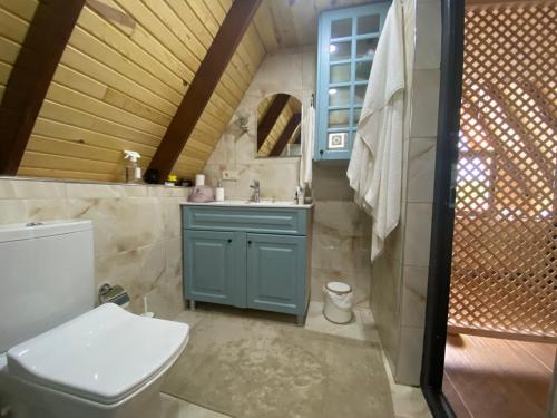 a bathroom with a toilet and a sink at Private Bungalow in Trabzon