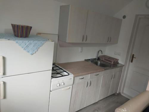 a small kitchen with a white refrigerator and a sink at Dušanov Zaliv - Perućac in Skelani