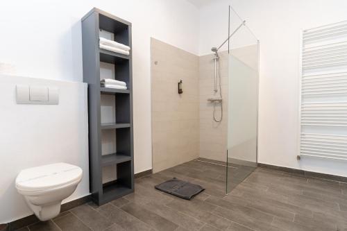 een badkamer met toilet en douche bij Downtown Sibiu in Sibiu