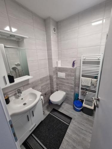 uma casa de banho com um lavatório branco e um WC. em Apartman Baban 1 em Kiseljak