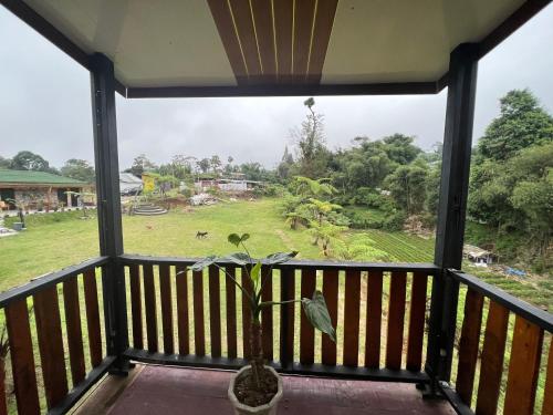 a view from the balcony of a house with a plant at Ulina Villa Segitiga Berastagi in Berastagi