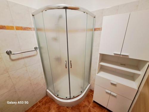 La salle de bains est pourvue d'une douche avec une porte en verre. dans l'établissement Holiday apartment Silvija, Loborika, à Loborika