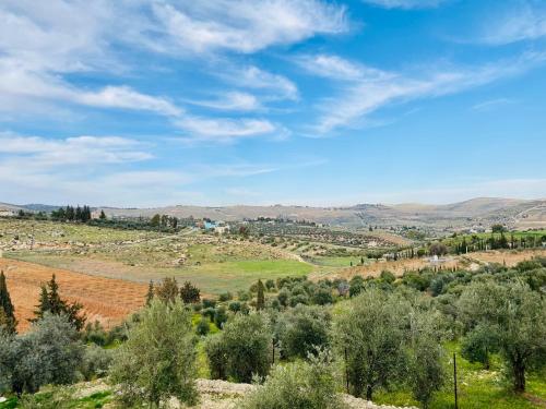 a view of a field with trees and mountains at Green Farm in Jerash