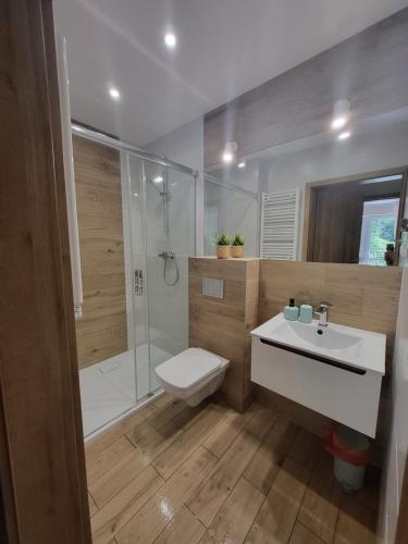 een badkamer met een douche, een toilet en een wastafel bij Apartamenty Willove Wzgórze in Duszniki Zdrój