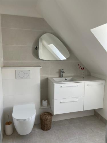 ein Badezimmer mit einem weißen WC und einem Spiegel in der Unterkunft Le Verger de Sophie in Sainte-Geneviève-lès-Gasny