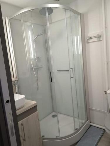 W łazience znajduje się prysznic ze szklaną kabiną prysznicową. w obiekcie Arbois: très beau studio place de la Liberté w mieście Arbois