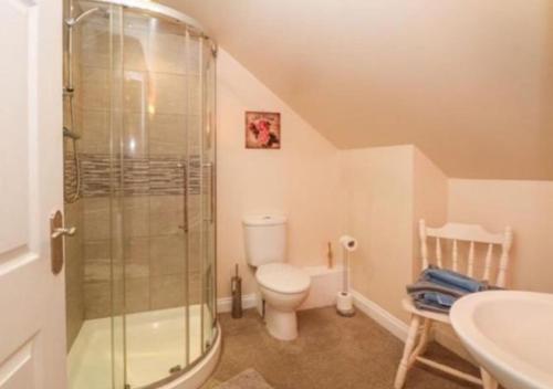 uma casa de banho com um chuveiro, um WC e um lavatório. em Willow cottage with private hot tub em Upper Hulme