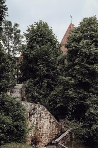 a set of stairs with trees and a building at Layer Residences in Kranj