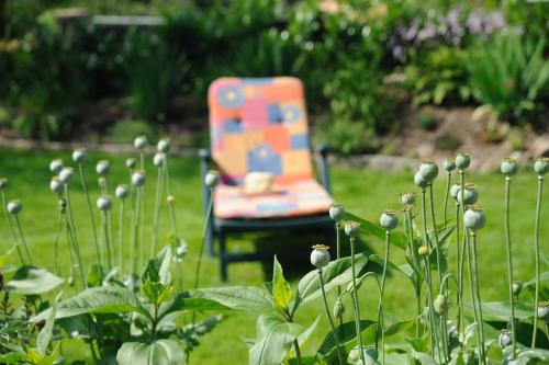 a chair sitting in the grass in a garden at Klosterblick in Bad Doberan