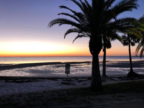 two palm trees on a beach with a sunset at St Petersburg Vacation Rentals in St Petersburg