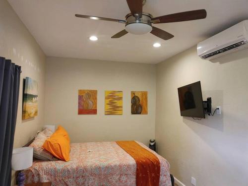 a bedroom with a bed and a ceiling fan at St Petersburg Vacation Rentals in St Petersburg