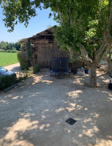 un arbre et un banc devant un bâtiment dans l'établissement Avignon à la campagne avec climatisation, à Avignon