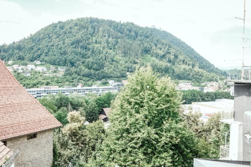 a view of a city with a mountain in the background at Layer Residences in Kranj