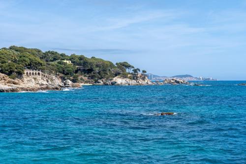 a dog swimming in a body of water at Hauzify I Casa Arboç in Platja  d'Aro