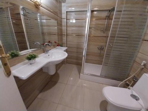 La salle de bains est pourvue d'un lavabo, d'une douche et de toilettes. dans l'établissement Omar Apartment, au Caire