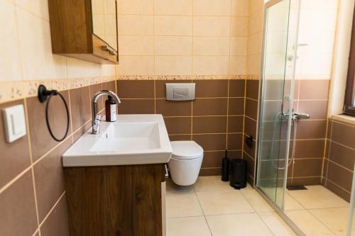 a bathroom with a sink and a toilet and a shower at Marmaris Private Villa-Villa Lufu in Marmaris