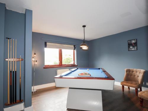 Biliár nebo kulečník v ubytování Challenger Lodge