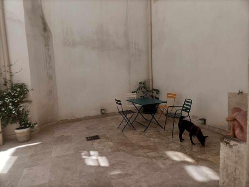 un chien qui se promène dans une pièce avec une table et des chaises dans l'établissement Le Marquis - Centre historique - 3 chambres, à Avignon
