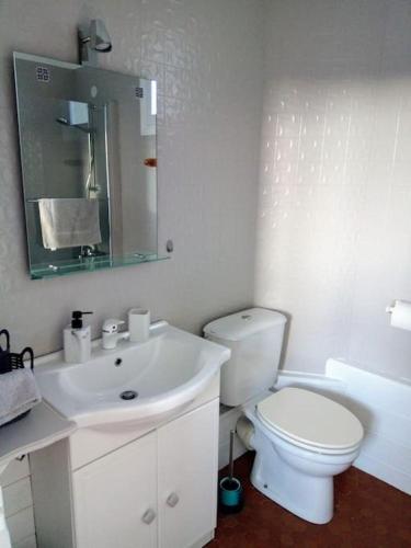 une salle de bain blanche avec des toilettes et un lavabo dans l'établissement Le Nid de L’Île, à Chinon