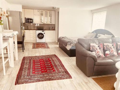 ein Wohnzimmer mit einem Sofa und einer Küche in der Unterkunft Charming Studio Flat In Sollentuna, Stockholm in Sollentuna