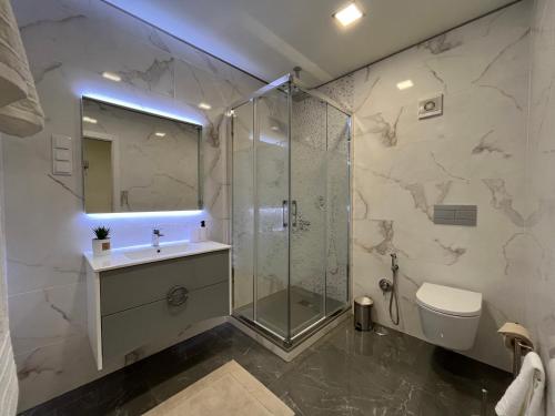 a bathroom with a shower and a sink and a toilet at Alta Lisboa Apartment in Lisbon