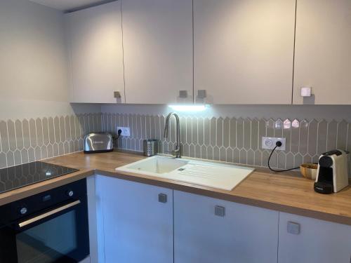 une cuisine avec des armoires blanches et un évier dans l'établissement Appartement Centre Annecy 100m du lac, à Annecy
