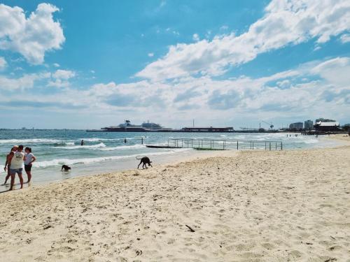 eine Gruppe von Menschen, die mit zwei Hunden am Strand spazieren in der Unterkunft Port Melbourne Dog Beach Stays in Melbourne