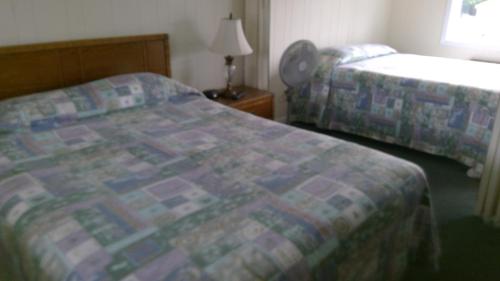 Postel nebo postele na pokoji v ubytování VILLAGE GREEN MOTEL