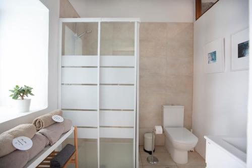 La salle de bains est pourvue de toilettes et d'une cabine de douche en verre. dans l'établissement Hacienda El Socorro, à Los Realejos