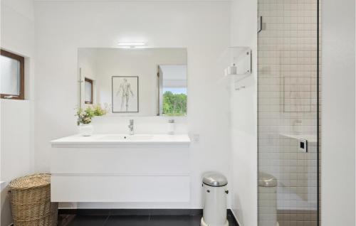 bagno bianco con lavandino e specchio di Cozy Home In Niv With Kitchen a Nivå