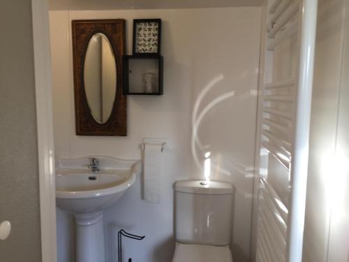 a bathroom with a sink and a toilet and a mirror at Woodman's Rest in Kirdford