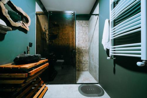 a bathroom with a shower with a glass door at Cottage Galileo in Abastumani in Abastumani