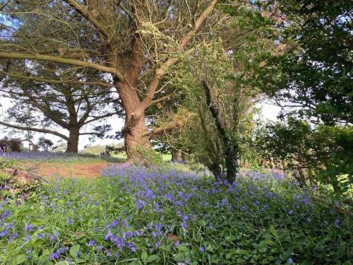 Gallery image of Panoramic tranquility in Llanfairpwllgwyngyll