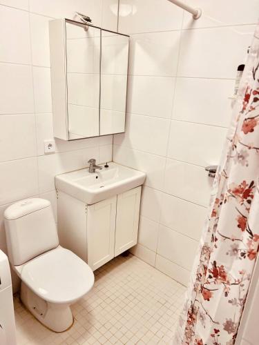 un bagno con un water, un lavandino e uno specchio di Lovely 2-bed Flat In Stockholm a Sollentuna