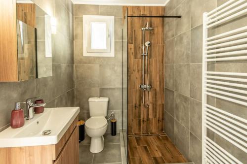 a bathroom with a shower and a toilet and a sink at Evergreen mansion in Alexandroupoli