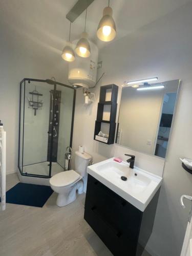 une salle de bain avec un lavabo, des toilettes et un miroir dans l'établissement Pti gîte chez sabine, à Labastide-du-Temple