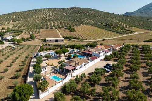 an aerial view of a resort in a vineyard at Pasa Fina, luxury holiday retreat in Villanueva del Trabuco