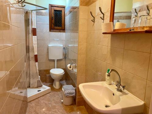 a bathroom with a sink and a shower and a toilet at Lefka in Kolymvari