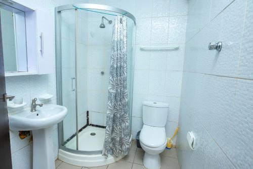 a bathroom with a shower and a toilet and a sink at South La Apartments in Accra