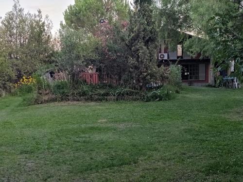 un patio con una casa con un árbol en Cabaña Pedemonte en Vistalba