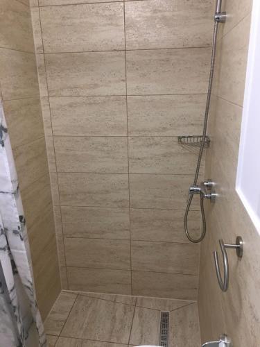 a shower with a glass door in a bathroom at Casa Ivana in Murighiol