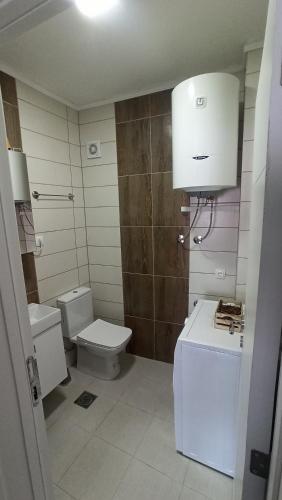 Baño pequeño con aseo y lavamanos en Luna Apartment, en Kumanovo