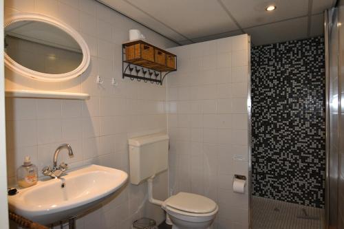 uma casa de banho com um lavatório, um WC e um chuveiro em Meschermolen 14 em Mesch