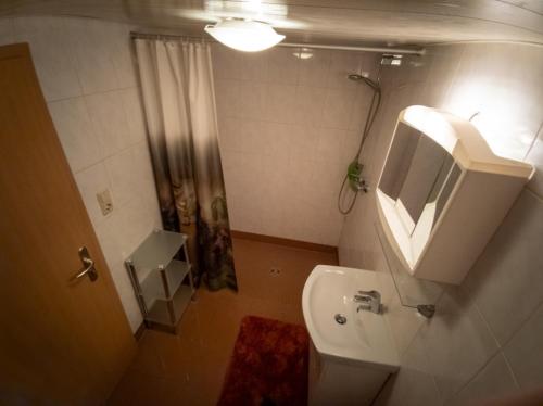 La salle de bains est pourvue de toilettes, d'un lavabo et d'une douche. dans l'établissement Spreewälder Schwalbenhof - Ferienwohnung "Storchennest", à Golßen