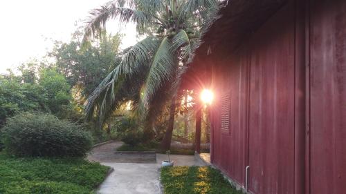 a red wall with a palm tree next to a sidewalk at Ba Danh Homestay & Kitchen - Ben Tre Mekong in Ben Tre