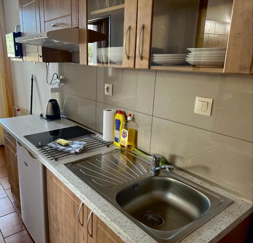 uma cozinha com um lavatório e uma bancada em Ubytování U Kloučků v Potvorově em Potvorov