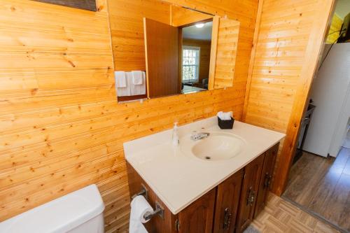 Et badeværelse på Cache Rapids Vacation Rental