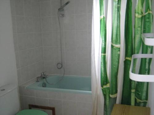 a bathroom with a green shower curtain and a tub at Jacques et Paola Chanis in Ambérieu-en-Bugey