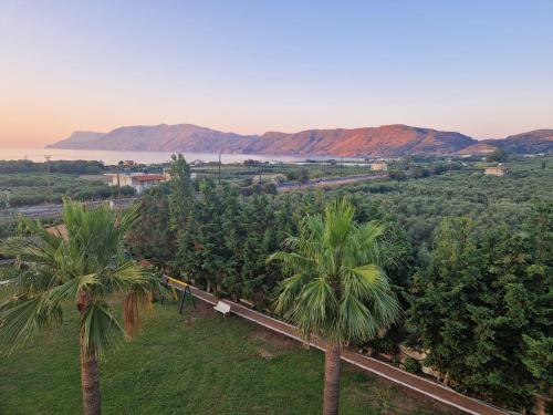 an aerial view of a palm tree plantation at Regina Hotel in Kissamos
