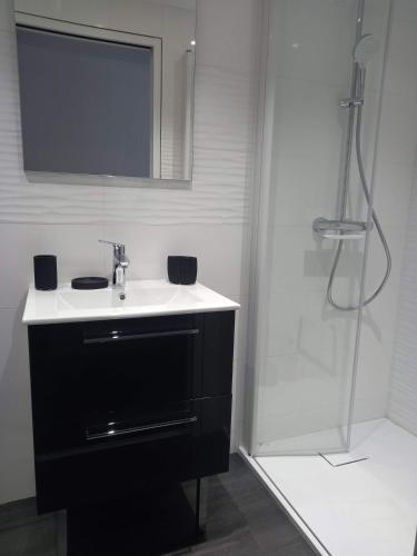 une salle de bain avec un lavabo et une douche dans l'établissement La Remise de SoSo, à Chambon-le-Château